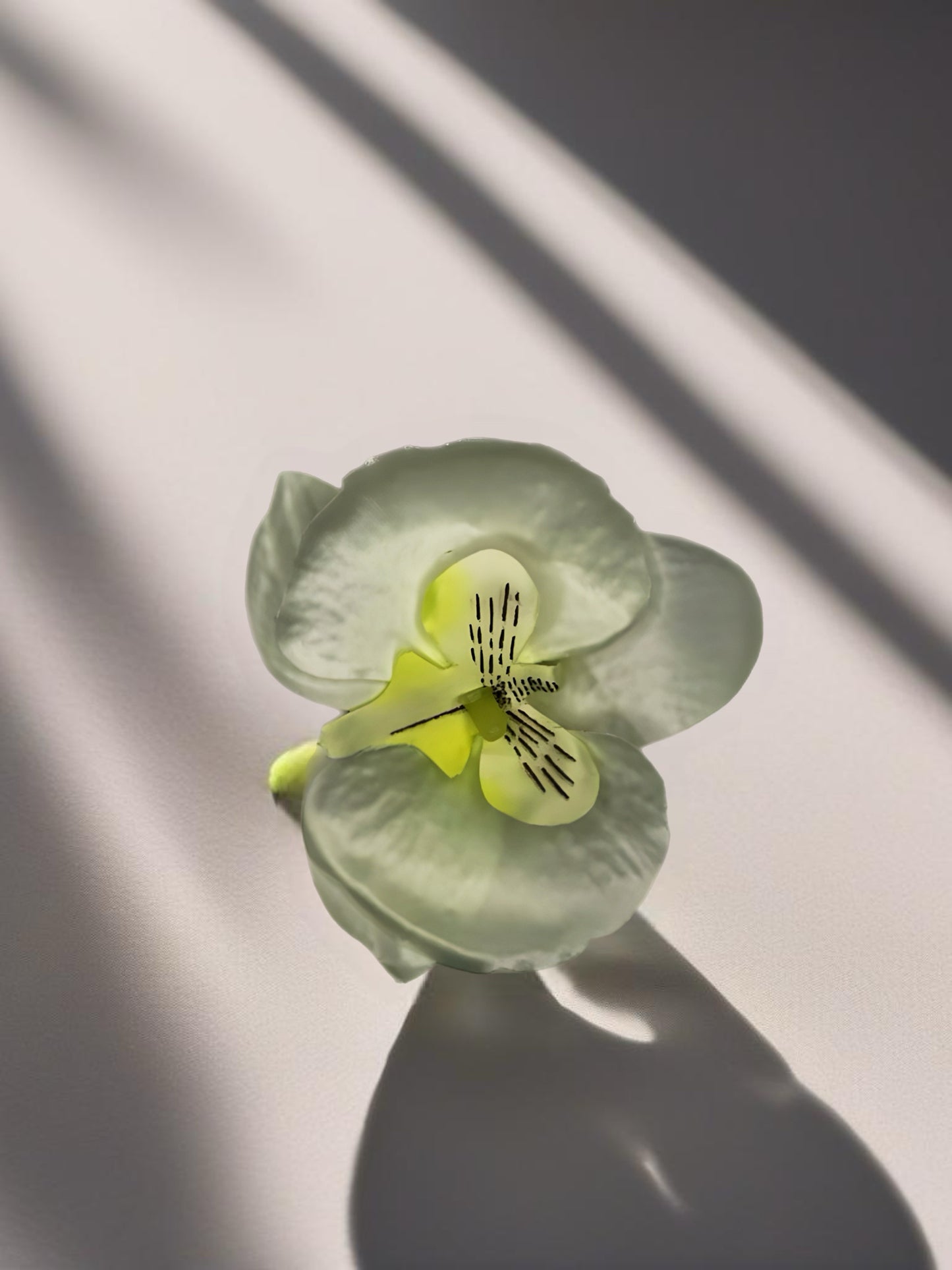 Butterfly Orchid Flower Hair Clips